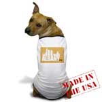 Albany NY T-Shirt