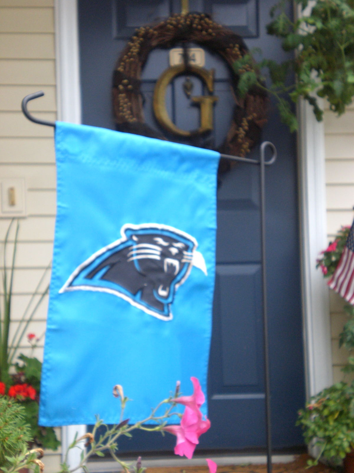 panther flag.jpg