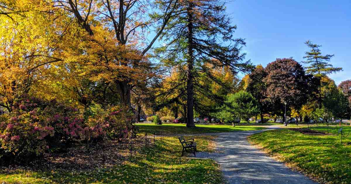 7 Great Places for Fall Colors in Albany and the Capital Region