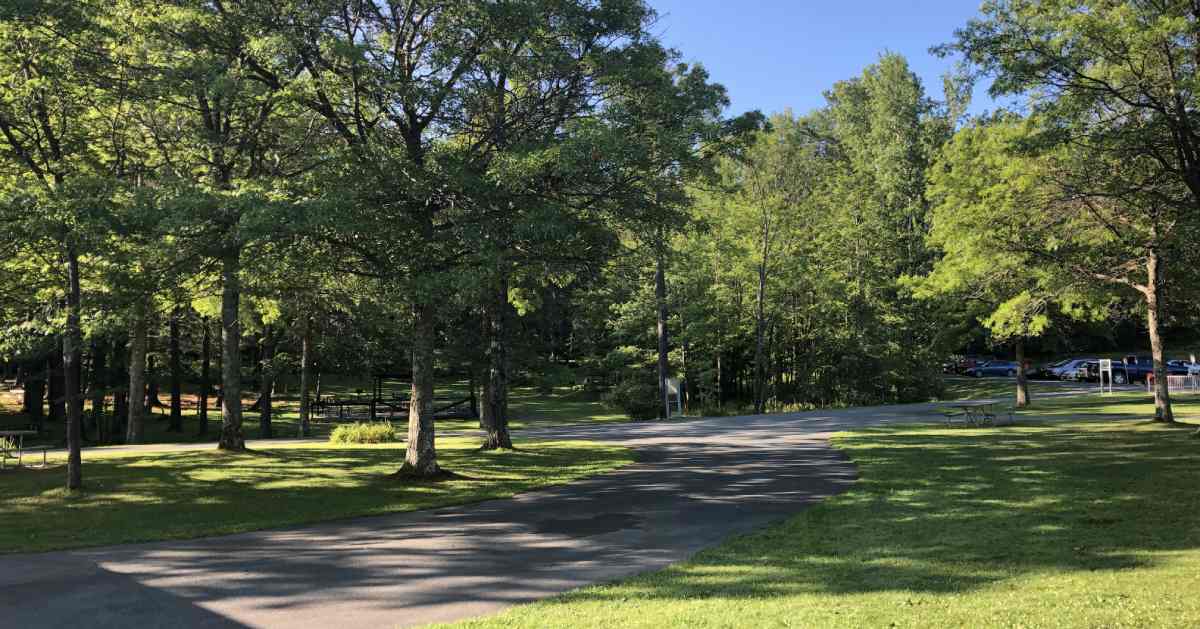 paved trail in a park
