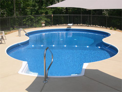 Albany Pool Planning Guide - Swimming Pool Shapes